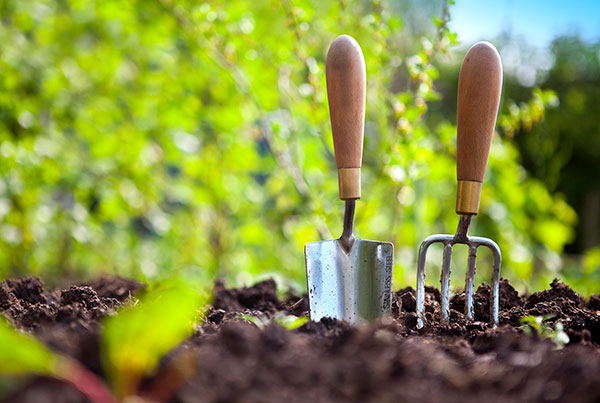 gardening tools in soil